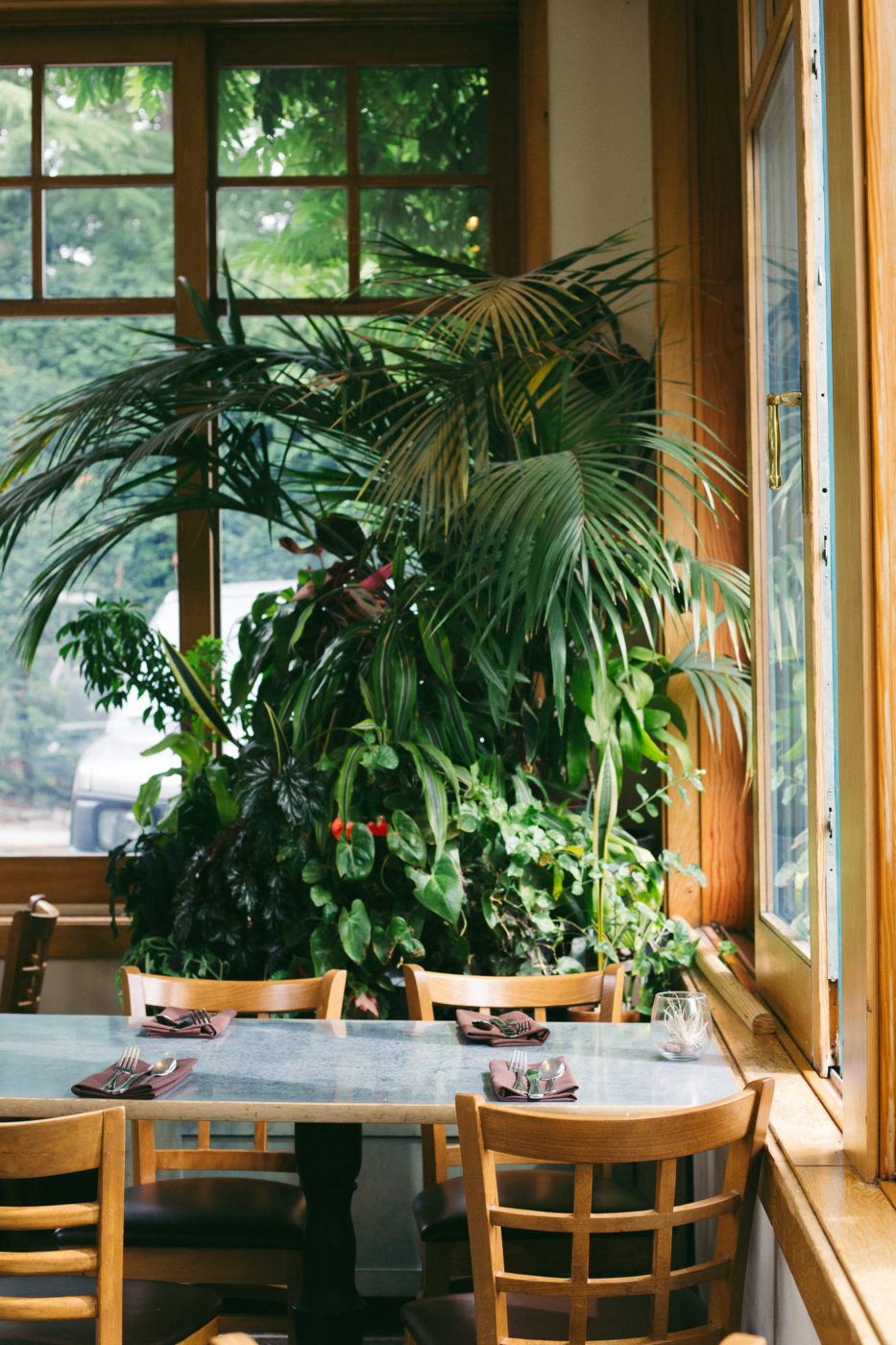 Cafe Flora - Seattle Vegetarian Restaurant- Light filled Interior with Plants